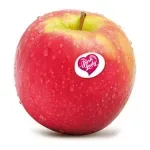 GTIN-0000000030724-03