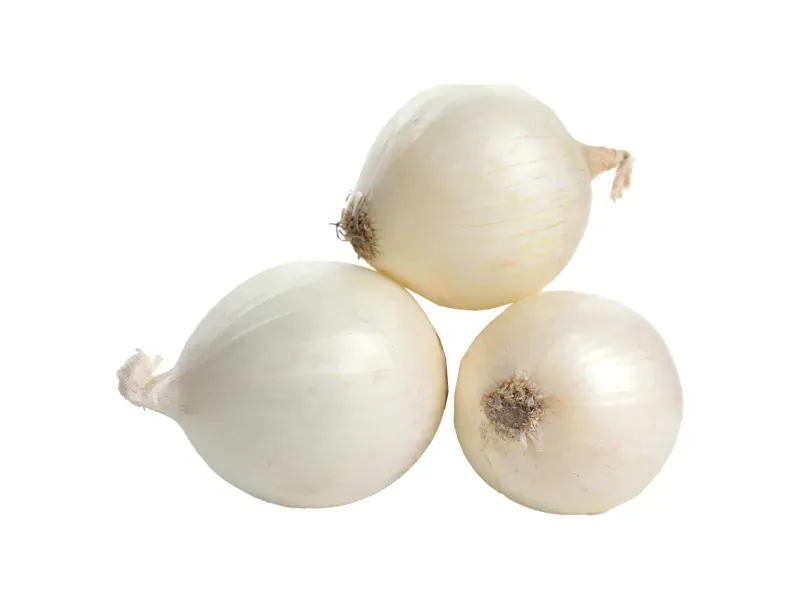 GTIN-0000000046633-01