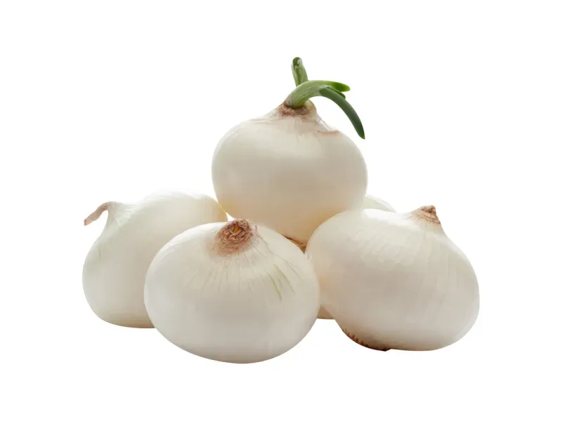 GTIN-0000000046633-02