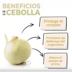 GTIN-0000000046633-03