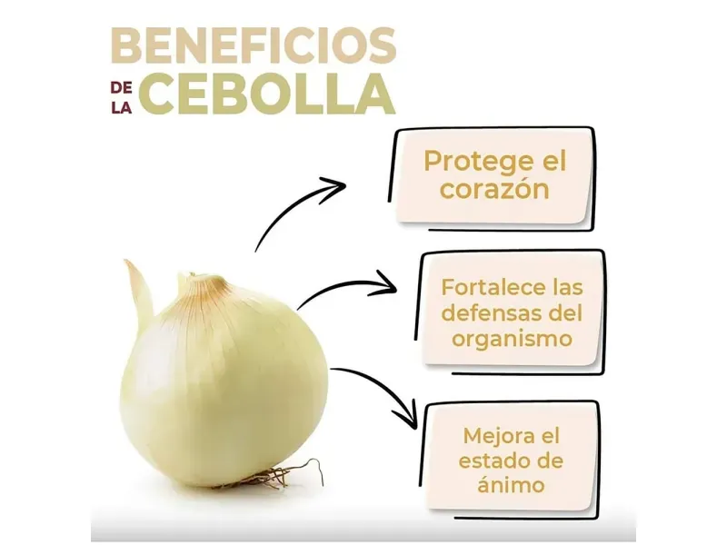 GTIN-0000000046633-03