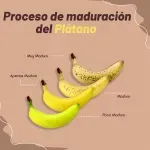 GTIN-0000000072694-02