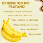 GTIN-0000000072694-03