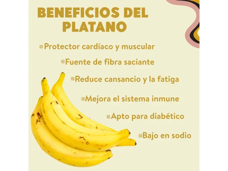 GTIN-0000000072694-03