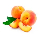 GTIN-0000000086226-01