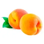 GTIN-0000000086226-02