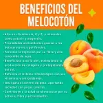 GTIN-0000000086226-03