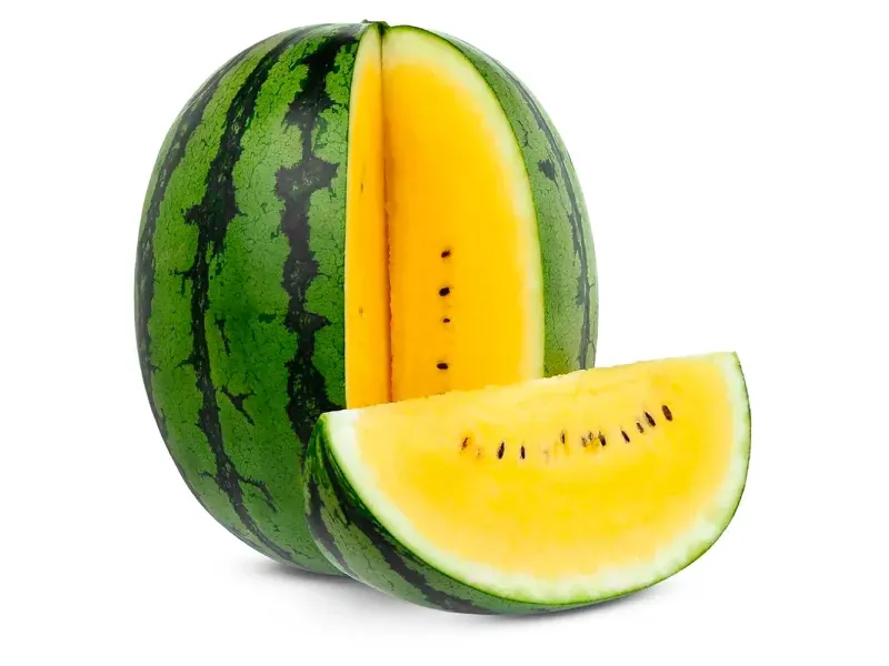 GTIN-0000000077996-01