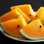 GTIN-0000000077996-04