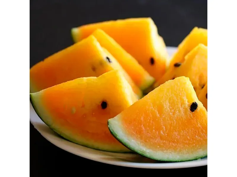 GTIN-0000000077996-04