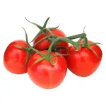 GTIN-0000000061636-02