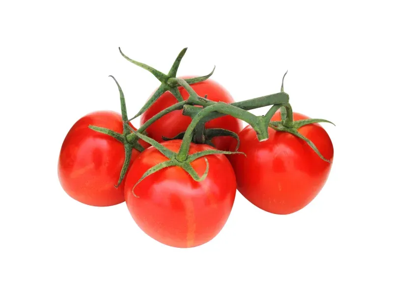 GTIN-0000000061636-02