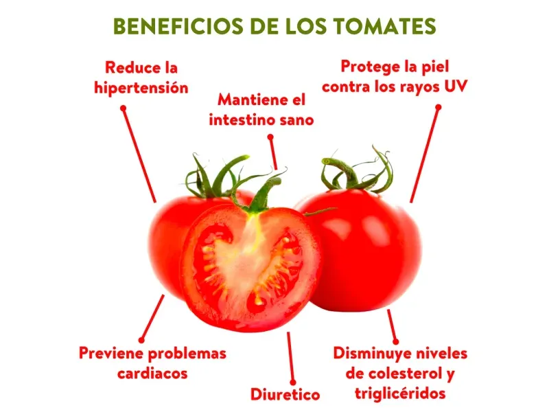 GTIN-0000000061636-04