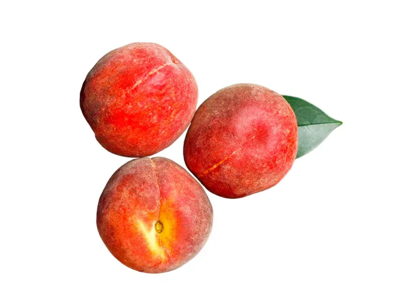 GTIN-2571450000004-01