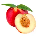 GTIN-0000000071642-01