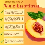 GTIN-0000000071642-03