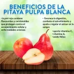 GTIN-0000000044103-03