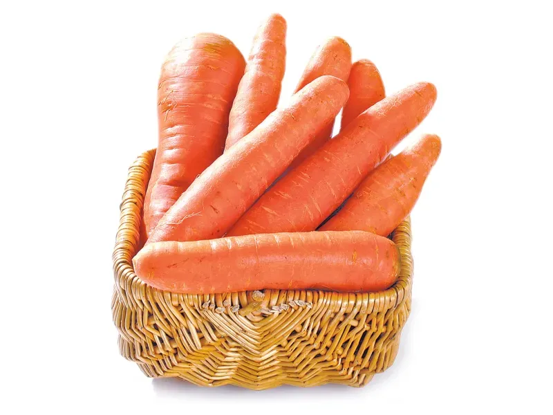 GTIN-0000000030083-01