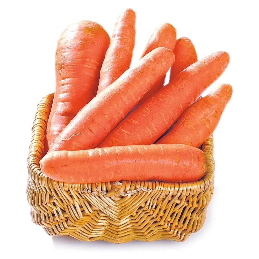 zanahoria-granel-libra-2530080000006