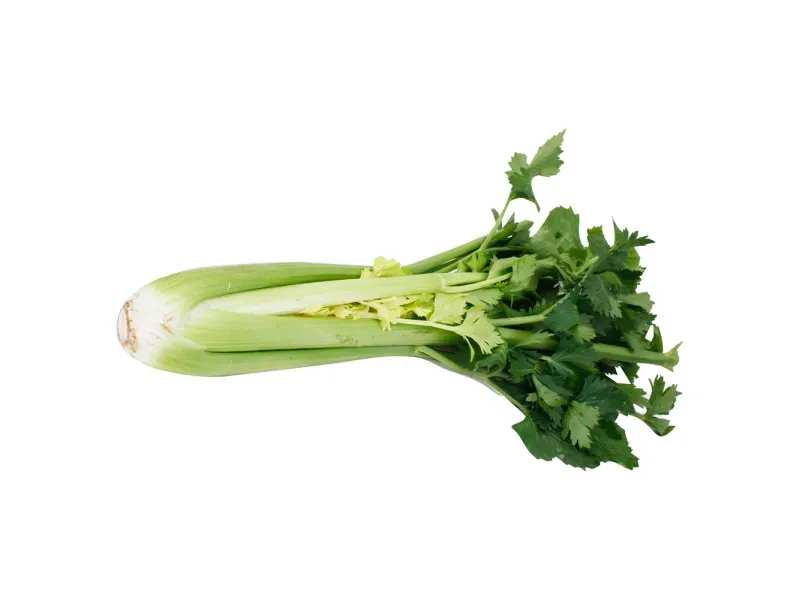 GTIN-0000000045834-02