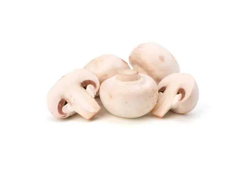 GTIN-0000000046459-01