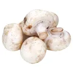 GTIN-0000000046459-02