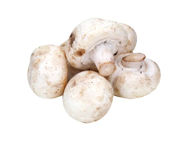 GTIN-0000000046459-02