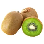 GTIN-0000000073851-01