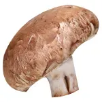 GTIN-0000000046480-01