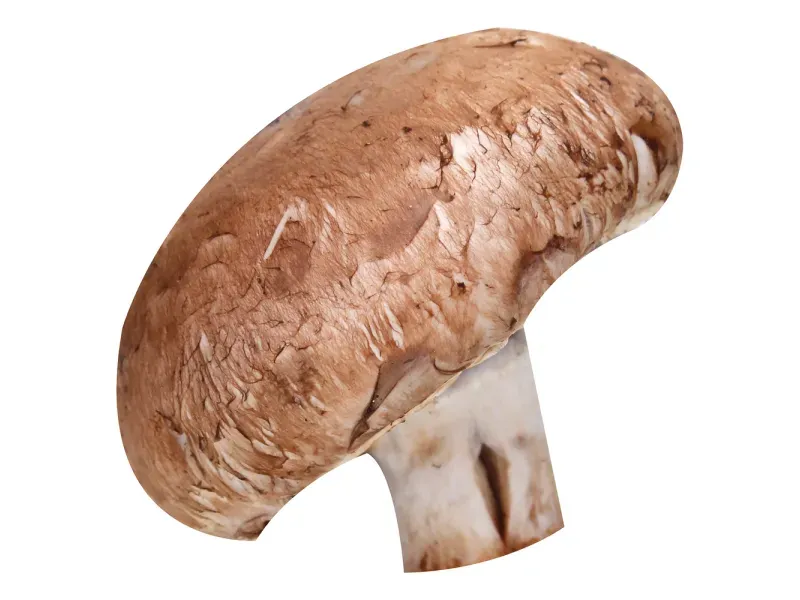 GTIN-0000000046480-01