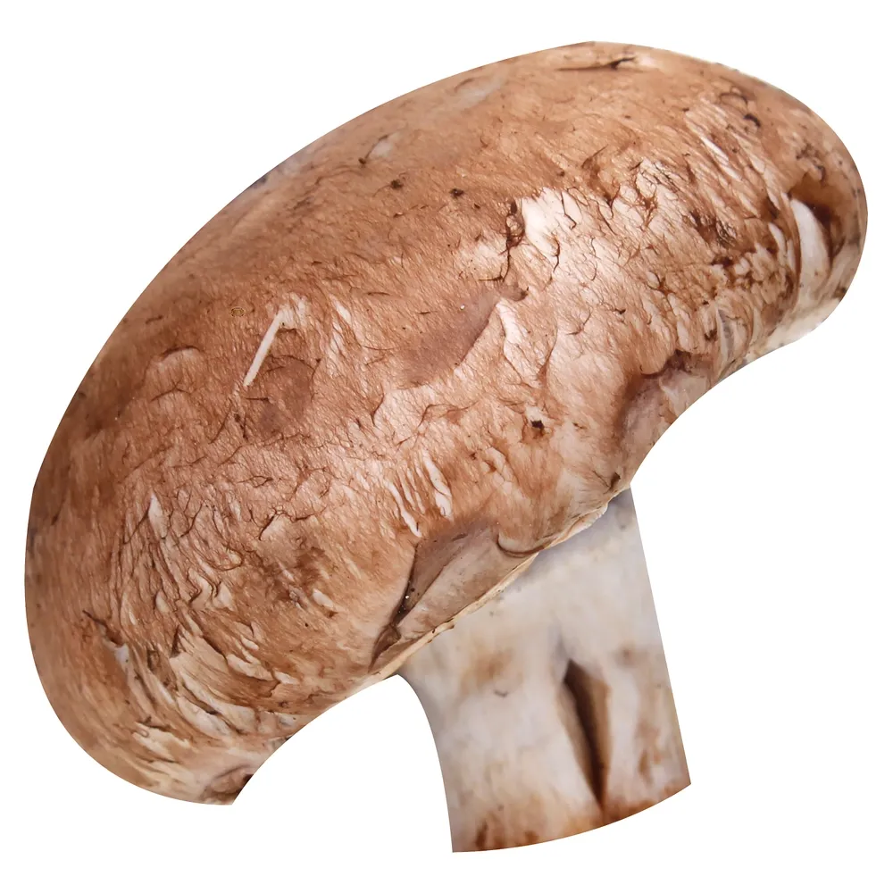 hongo-crimini-a-granel-libra-2546480000003