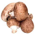 GTIN-0000000046480-02