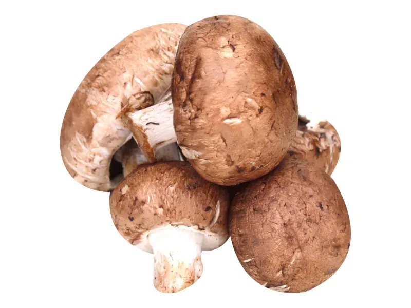 GTIN-0000000046480-02