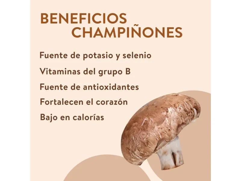 GTIN-0000000046480-03