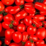 GTIN-0000000061490-05