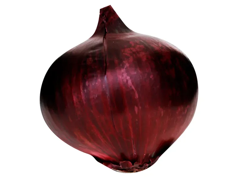 GTIN-0000000061704-01