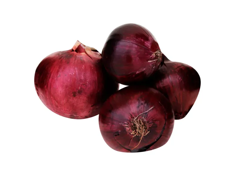 GTIN-0000000061704-02