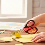 GTIN-3154144843102-03