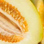 GTIN-0000000082761-04