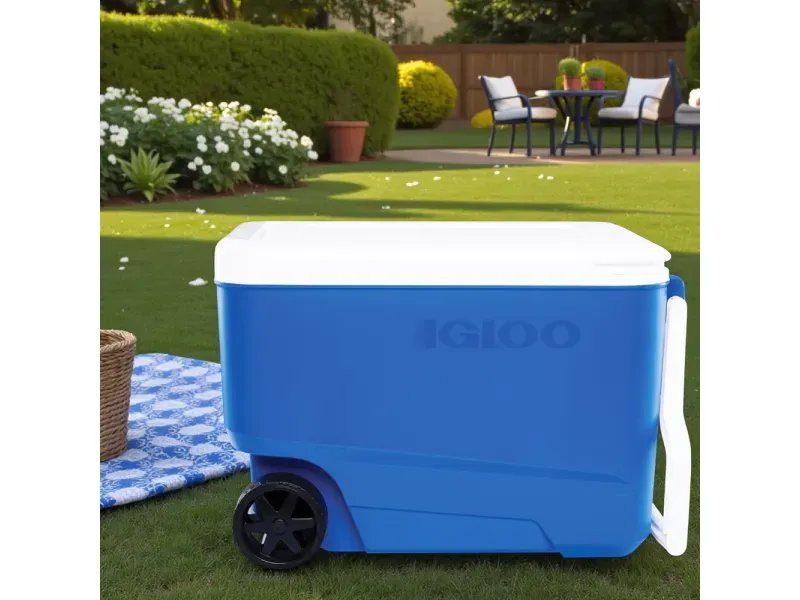 GTIN-0034223344825-05