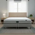 GTIN-7401114163798-08