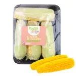 GTIN-7401089102464-01