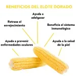 GTIN-7401089102464-04