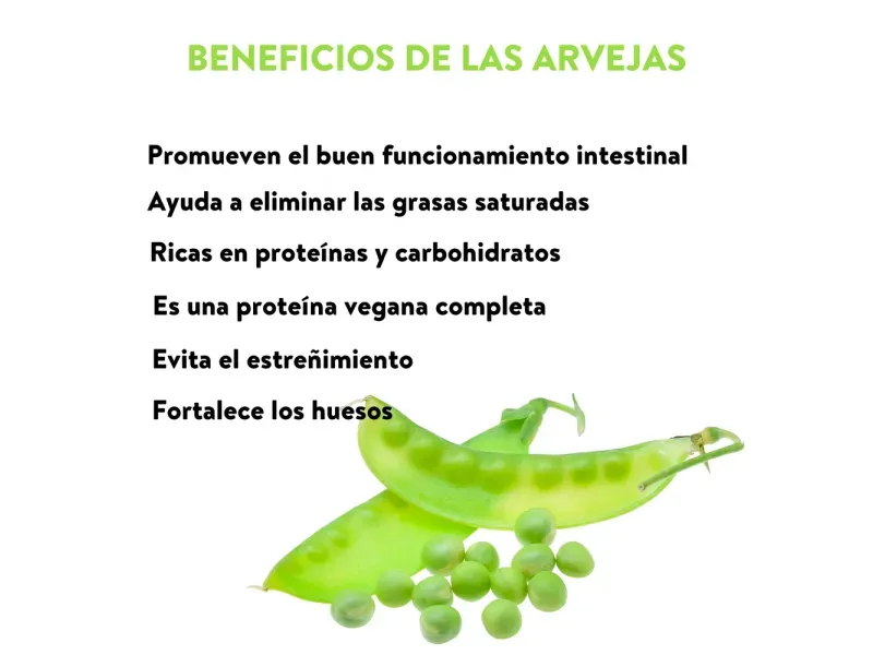 GTIN-7404009170093-05