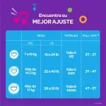 GTIN-0036000536379-02