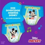 GTIN-0036000536379-04