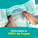 GTIN-0037000749714-03