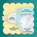 GTIN-0037000828761-04