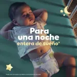 GTIN-0037000828761-07