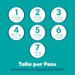 GTIN-0037000862345-08